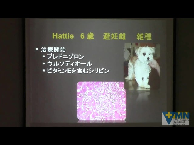 サイト内検索 Veterinary Medical Network