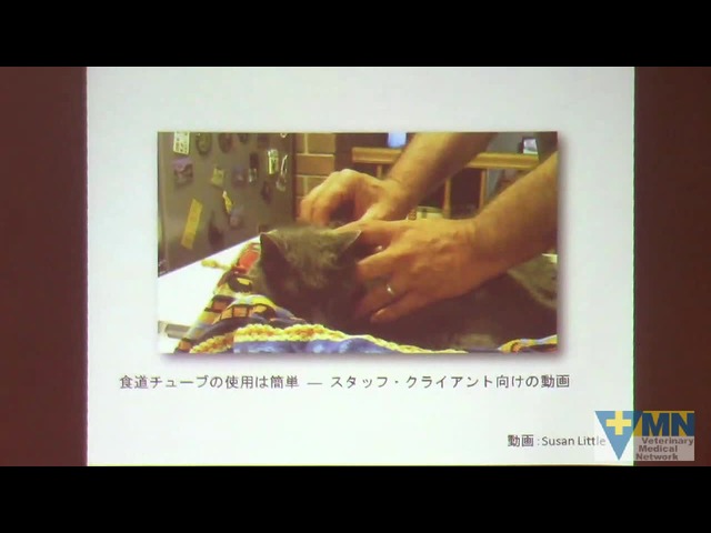 サイト内検索｜Veterinary Medical Network