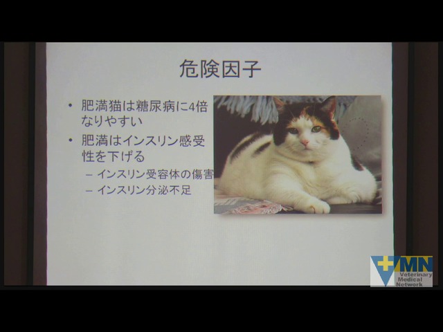 サイト内検索｜Veterinary Medical Network