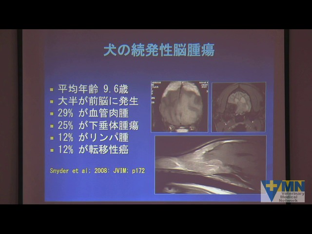 サイト内検索 Veterinary Medical Network サイト内検索 Veterinary Medical Network