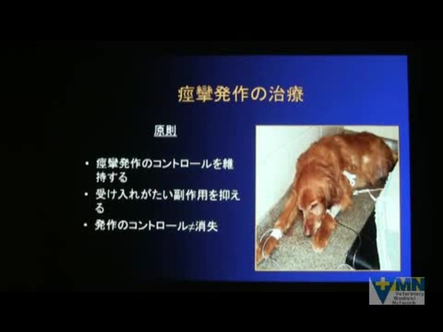 Vmnセミナー情報 Veterinary Medical Network