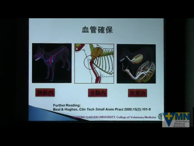 ＜みんなの疑問解消編＞
救急医療：心拍再開後の循環、呼吸管理、疼痛管理 vol.04