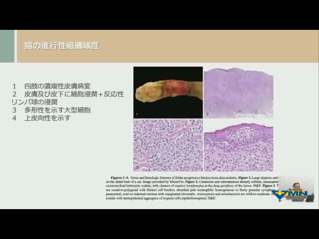 瀬戸口 明日香先生の「明日から役立つ」シリーズ 第30回 犬と猫の組織球性疾患のインフォームドコンセントガイド vol.10