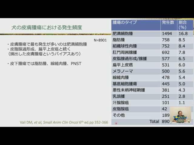 瀬戸口 明日香先生の「明日から役立つ」シリーズ 第33回 犬と猫の皮膚腫瘍 vol.03