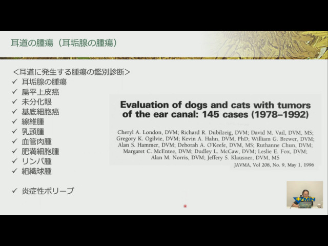 瀬戸口 明日香先生の「明日から役立つ」シリーズ 第33回 犬と猫の皮膚腫瘍 vol.09